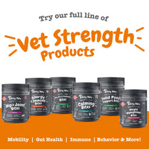 Six dark containers of Zesty Paw veterinary dog treats in various formulas displayed against an orange background.