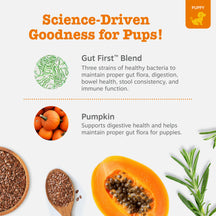 Small brown probiotic treat bites displayed with pumpkin, rosemary, and ingredient illustrations.