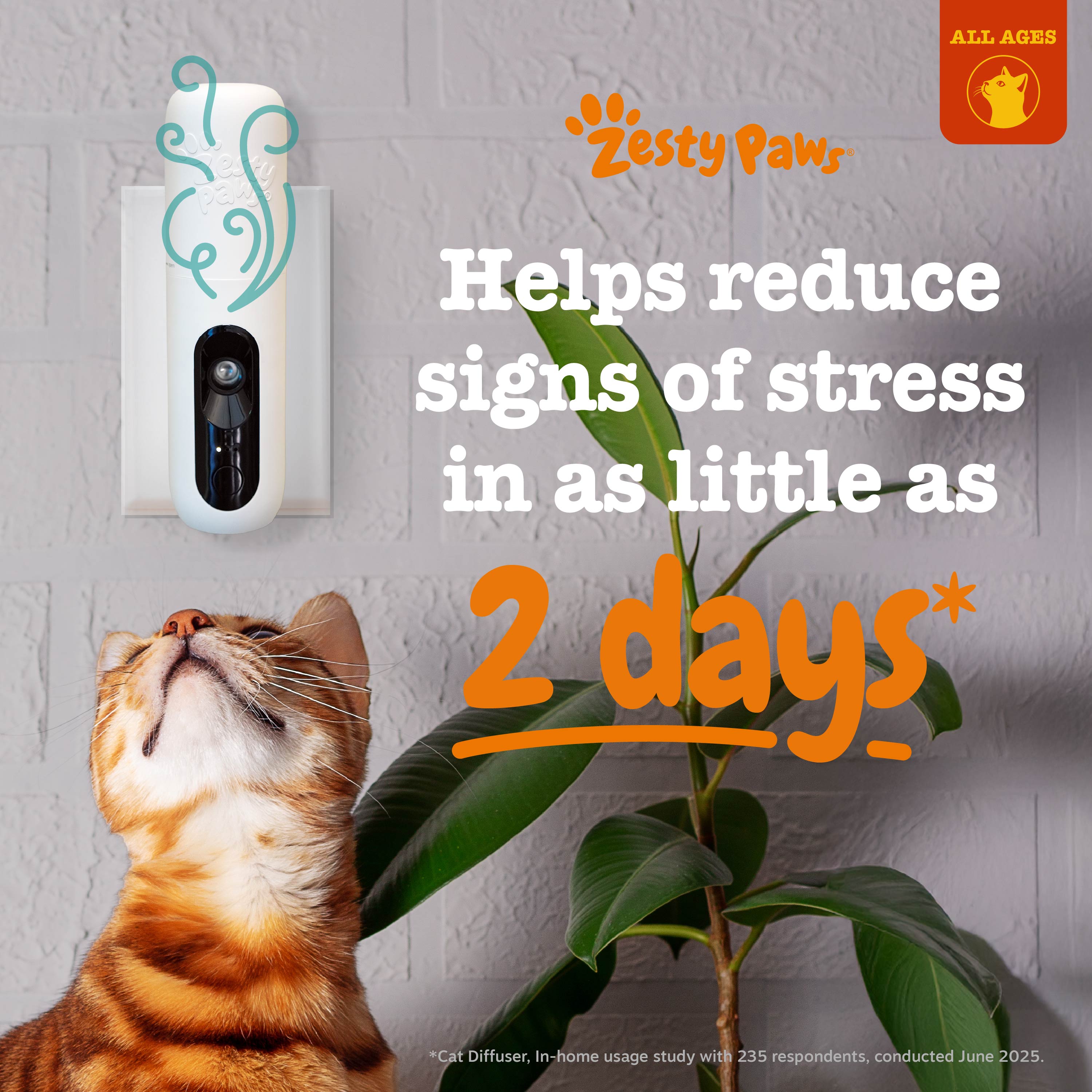 Cat Calming Diffuser Starter Kit - 30 Day Supply