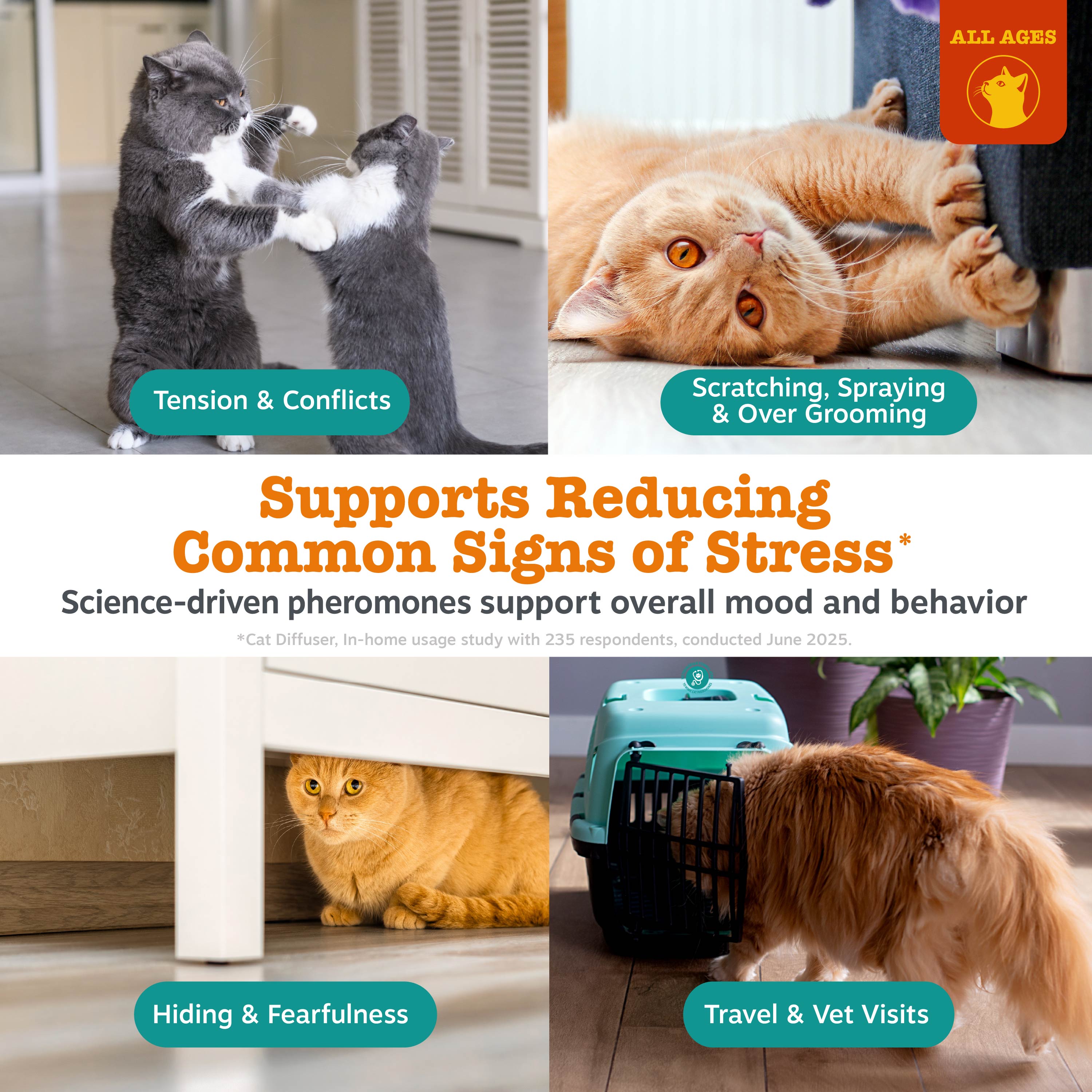 Cat Calming Diffuser Starter Kit - 30 Day Supply