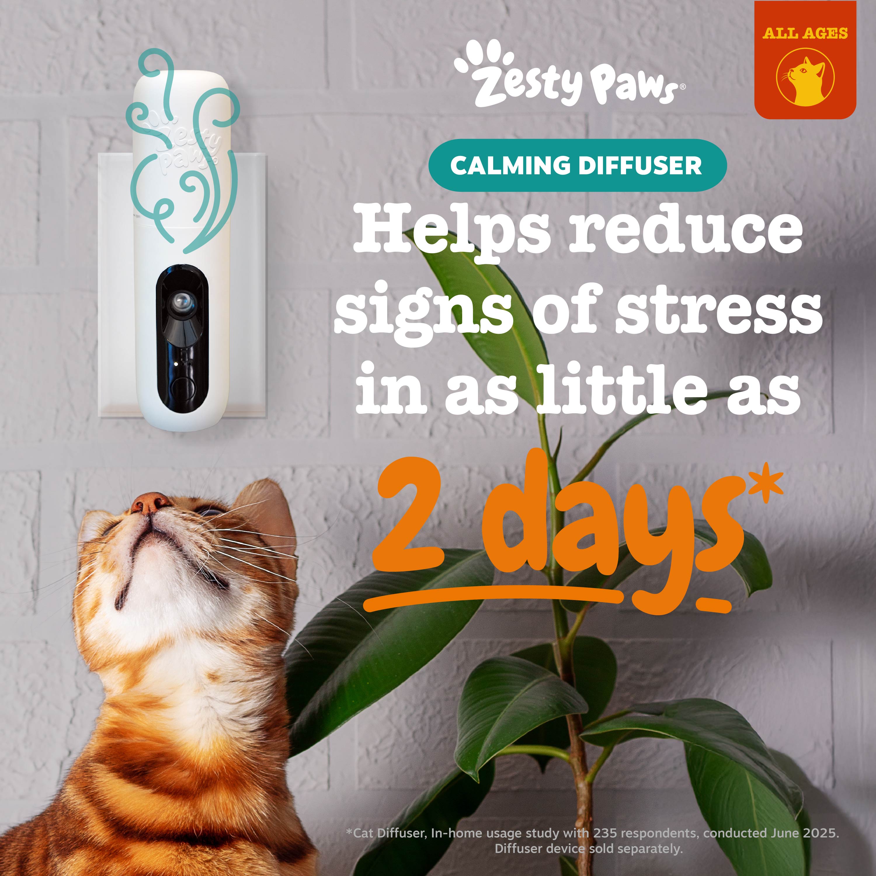 Diffuser Refill + Calming Bites | Bundle for Cats