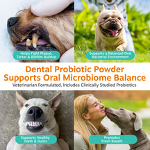 White container of dental probiotic powder with four photos showing dog teeth, smiling dogs, and human-dog interaction.