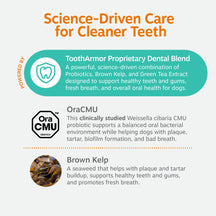 White container with orange and teal text describing dental probiotic powder ingredients including probiotics, brown kelp, an