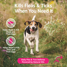 Brown and white dog running through grass with flea and tick spray product information displayed.