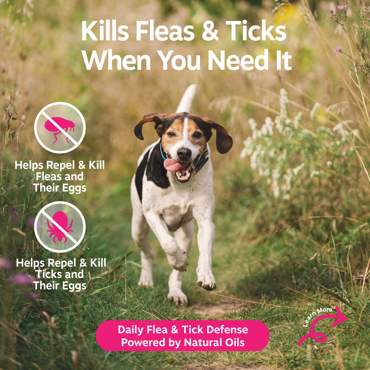 Brown and white dog running through grass with flea and tick spray product information displayed.