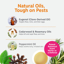 Bottle of flea and tick spray with orange text describing natural oil ingredients including eugenol, cedarwood, rosemary, and