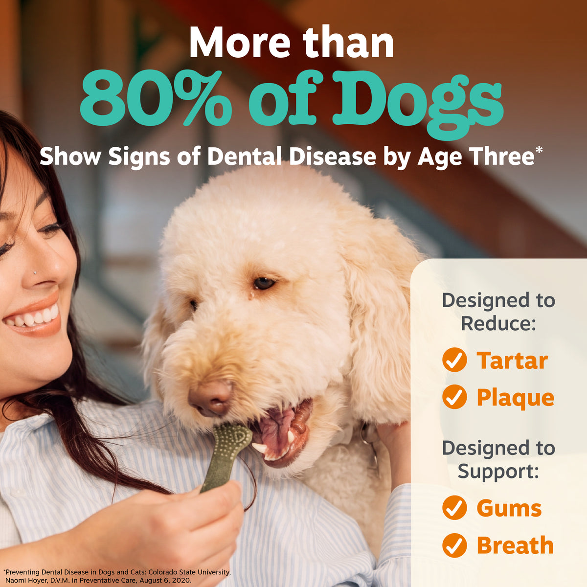 Dental Bones 2.0 for Small Sized Dogs