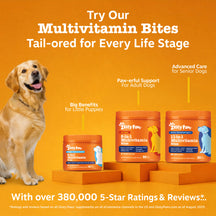 Golden retriever sitting beside three orange jars of Zesty Paws multivitamin supplements on orange blocks against orange back