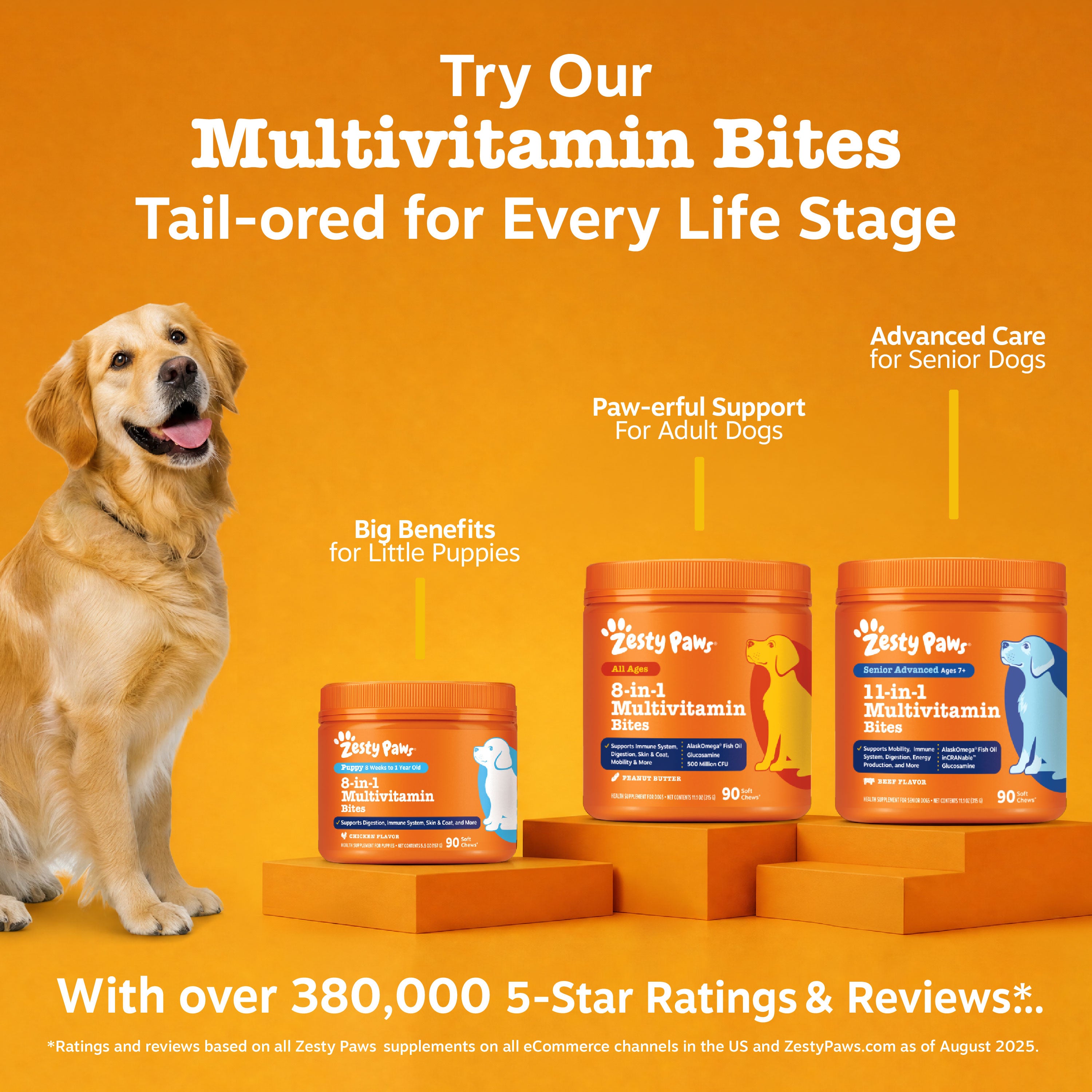 Golden retriever sitting beside three orange jars of Zesty Paws multivitamin supplements on orange blocks against orange back