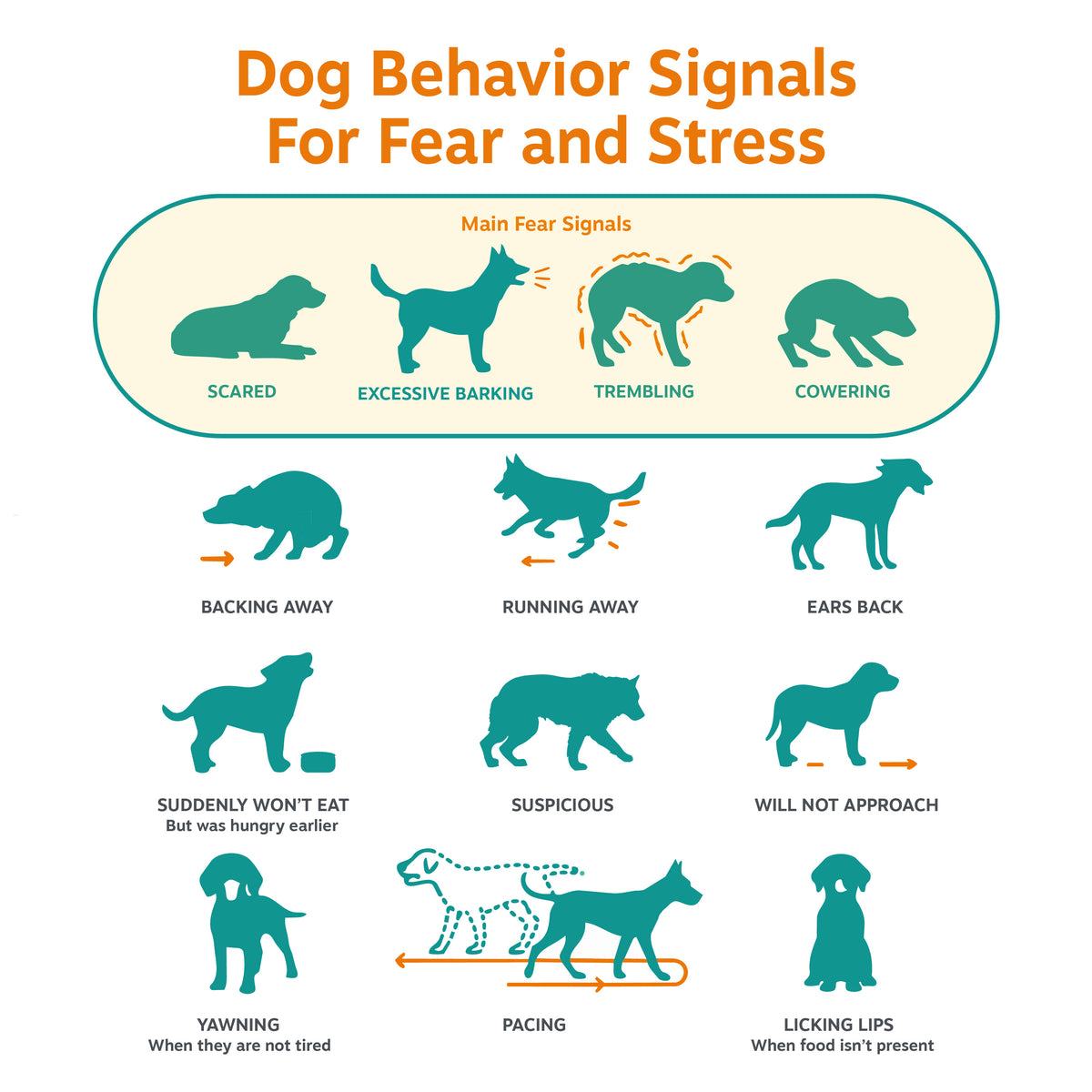 Calming Diffuser Starter Kit for Dogs