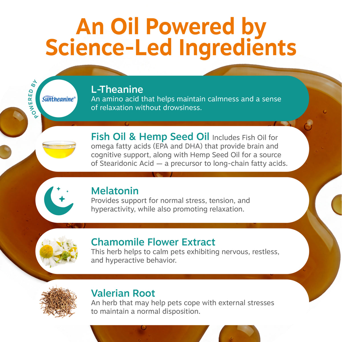 Infographic showing five key ingredients for pet calming drops: L-Theanine, Fish Oil & Hemp Seed Oil, Melatonin, Chamomile Fl