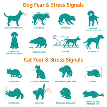 Illustrated guide showing dog stress signals like barking and trembling, and cat stress signals like crouching and excessive 