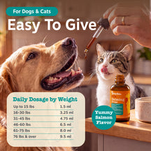 Hand holding dropper above dog and cat with amber bottle of calming drops and dosage chart displayed.