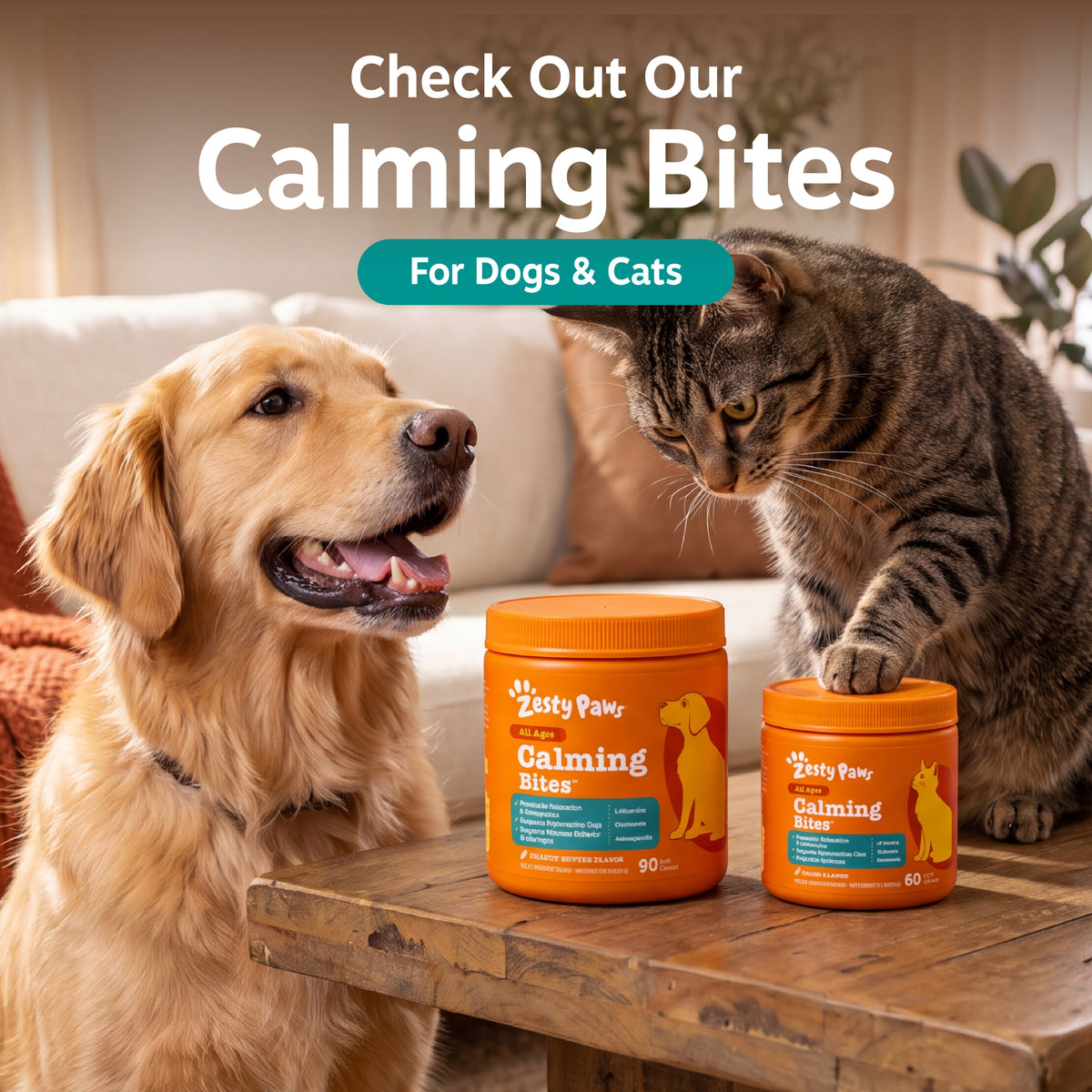 Golden retriever and tabby cat on a couch with two orange bottles of calming bites on a wooden table.