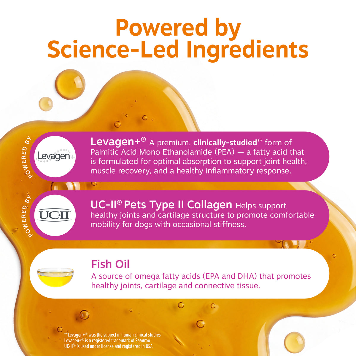 Amber liquid drops with ingredient information for Levagen, UC-II Pets Type II Collagen, and Fish Oil.