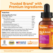 Zesty Paws Hip & Joint Drops bottle with dropper, 4 fl oz, containing fish oil and joint support ingredients for dogs and cat