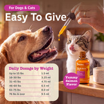 Hand holding dropper above golden retriever and tabby cat with amber bottle labeled Hip & Joint Drops on wooden table.