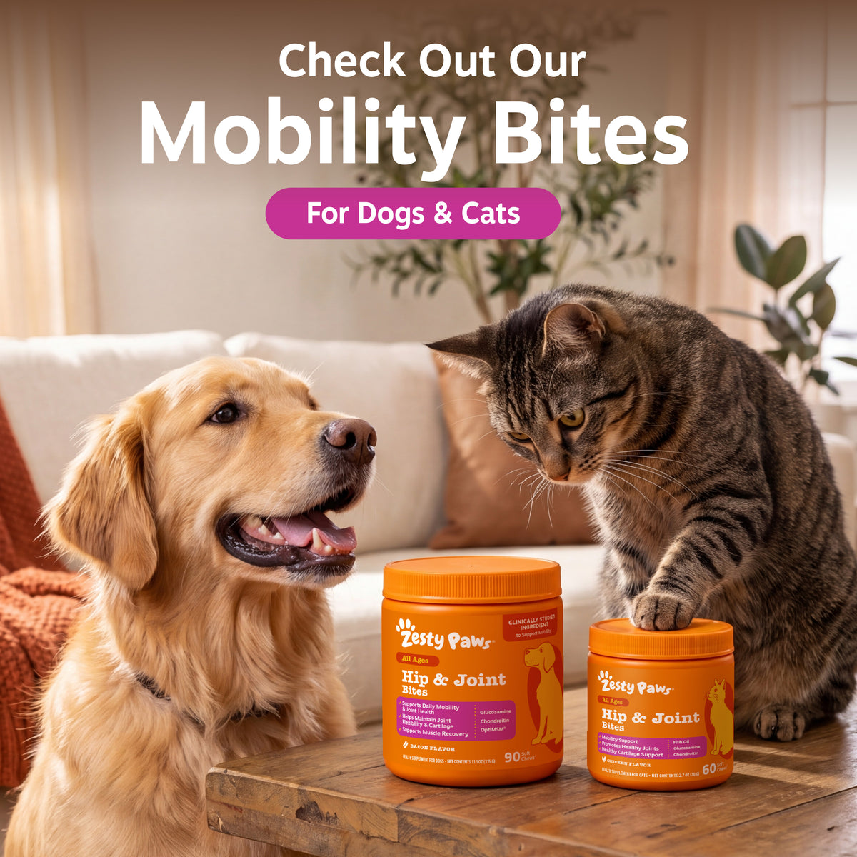 Yellow Labrador and tabby cat on couch next to two orange Zesty Paws Hip & Joint Bites bottles on wooden table.