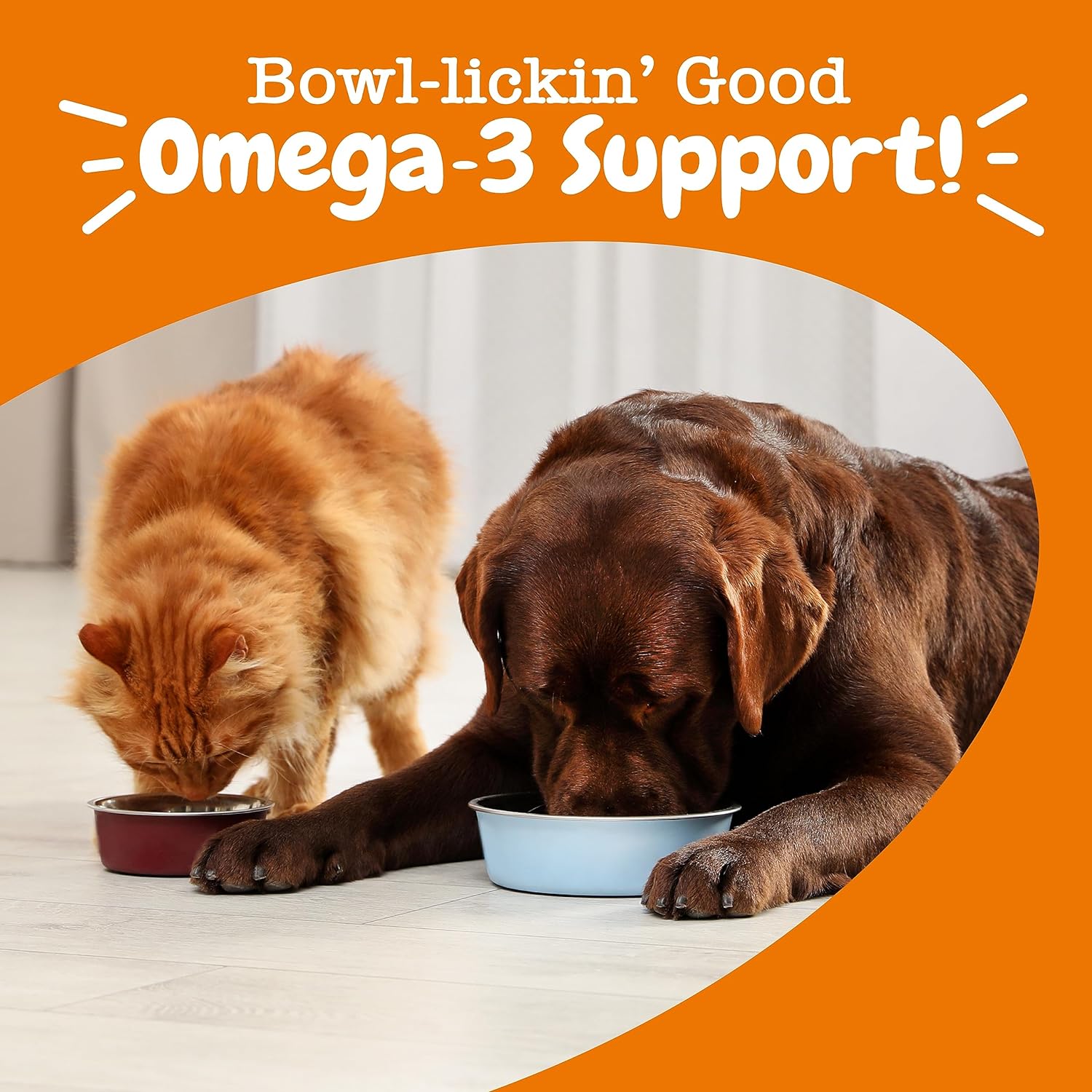 Wild Alaskan Fish Oil for Dogs & Cats - Omega 3 EPA DHA | Zesty Paws