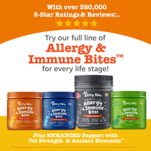 Four Zesty Paw Allergy & Immune Bites bottles in orange, blue, gray, and green containers with white paw logo labels.