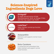 Product packaging showing ingredients DHAgold, LuteClear, Astaxanthin, and Beta-Carotene with descriptions of vision support 