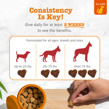 Chart showing daily dosage guidelines for dog treats by weight category, with heart-shaped treats and an orange bowl of treat