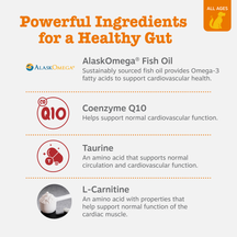 Infographic listing key ingredients with icons: AlaskOmega Fish Oil, Coenzyme Q10, Taurine, and L-Carnitine for dog cardiovas