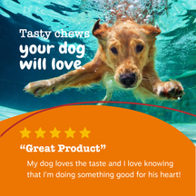 Golden retriever swimming underwater in a pool with paws extended toward camera.