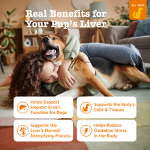 Person holding brown and tan dog on living room couch with potted plants visible in background.
