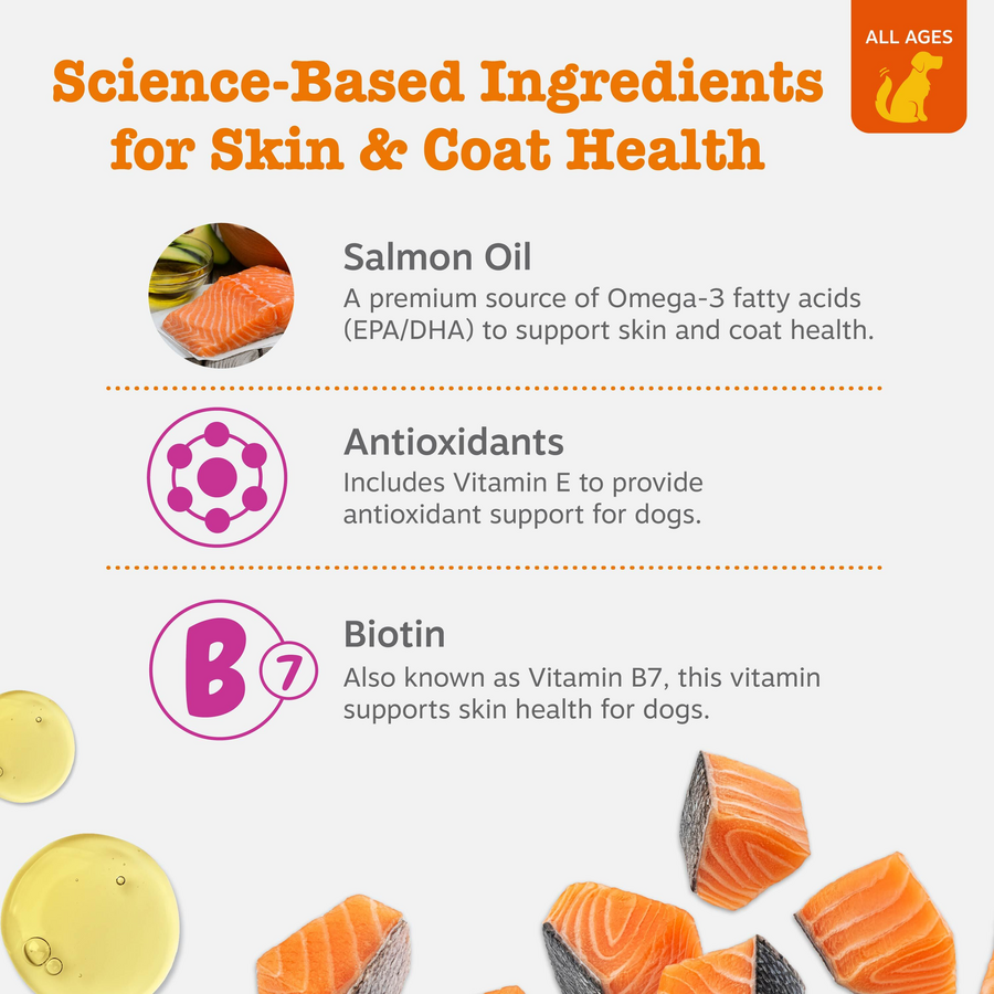 Skin & Coat Bites + Salmon Oil Soft Chews for Dogs