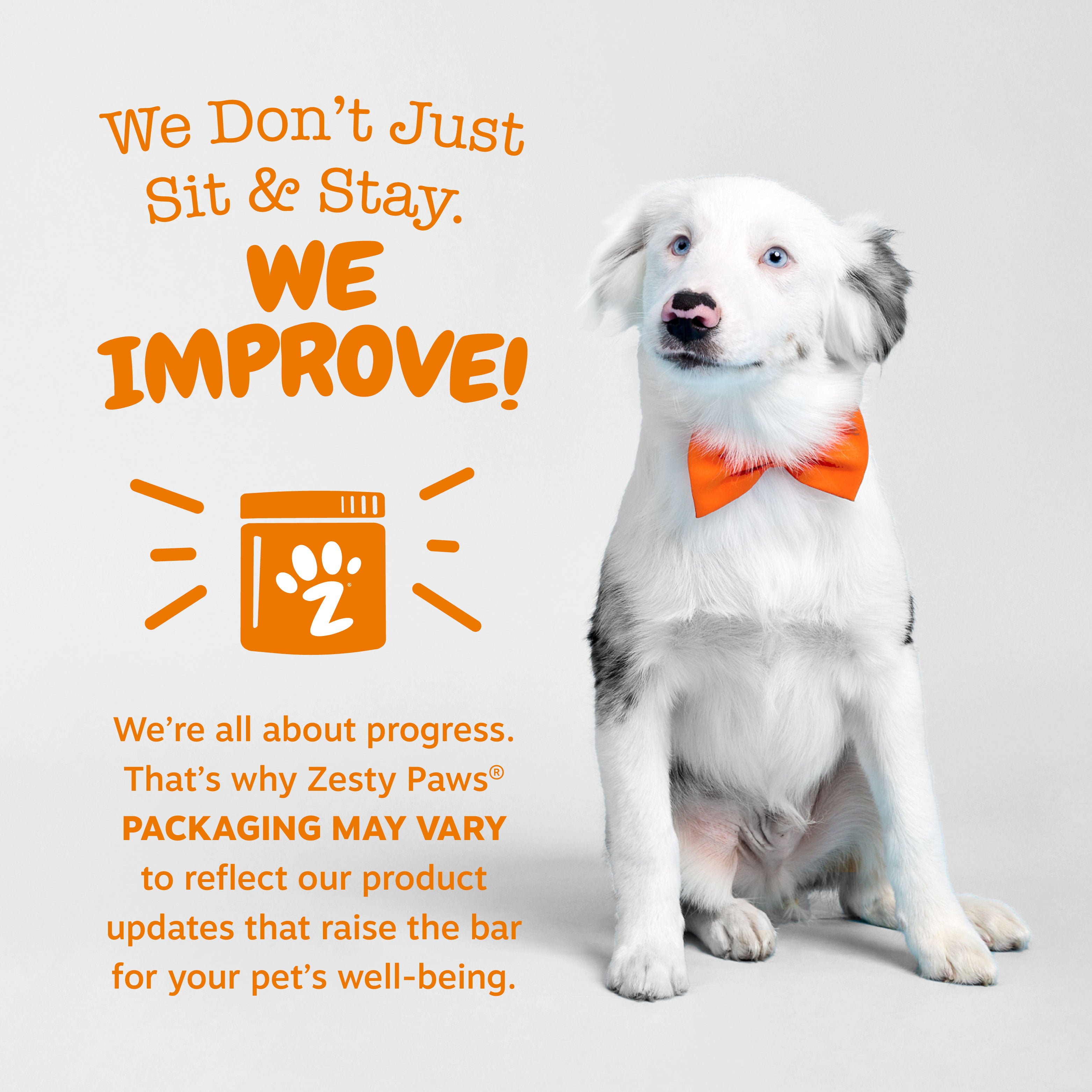 Senior white and gray dog wearing orange bow tie sitting against gray background with product messaging and orange paw jar ic
