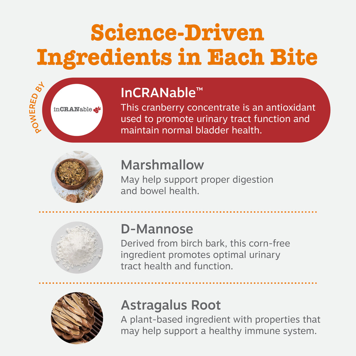 Urinary Tract Bites for Dogs