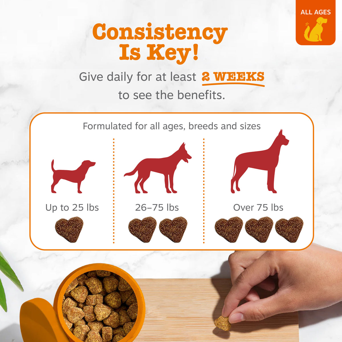 Urinary Tract Bites for Dogs