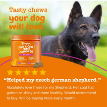 Orange jar of Skin & Coat Bites with salmon oil soft chews next to a black German Shepherd dog on grass.