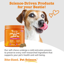 Orange bottle of salmon-flavored soft chews for dogs with brown and white dog licking its nose beside it.