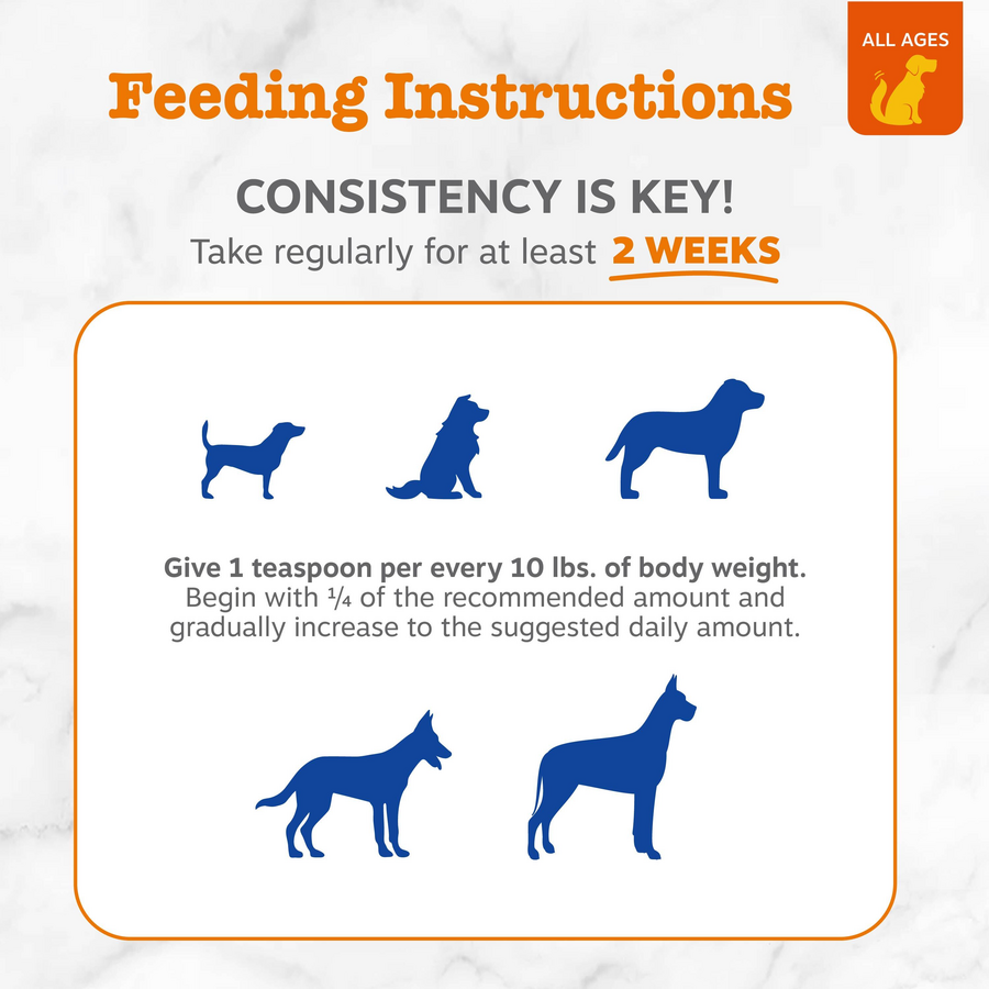 Organic Coconut Oil for Dogs