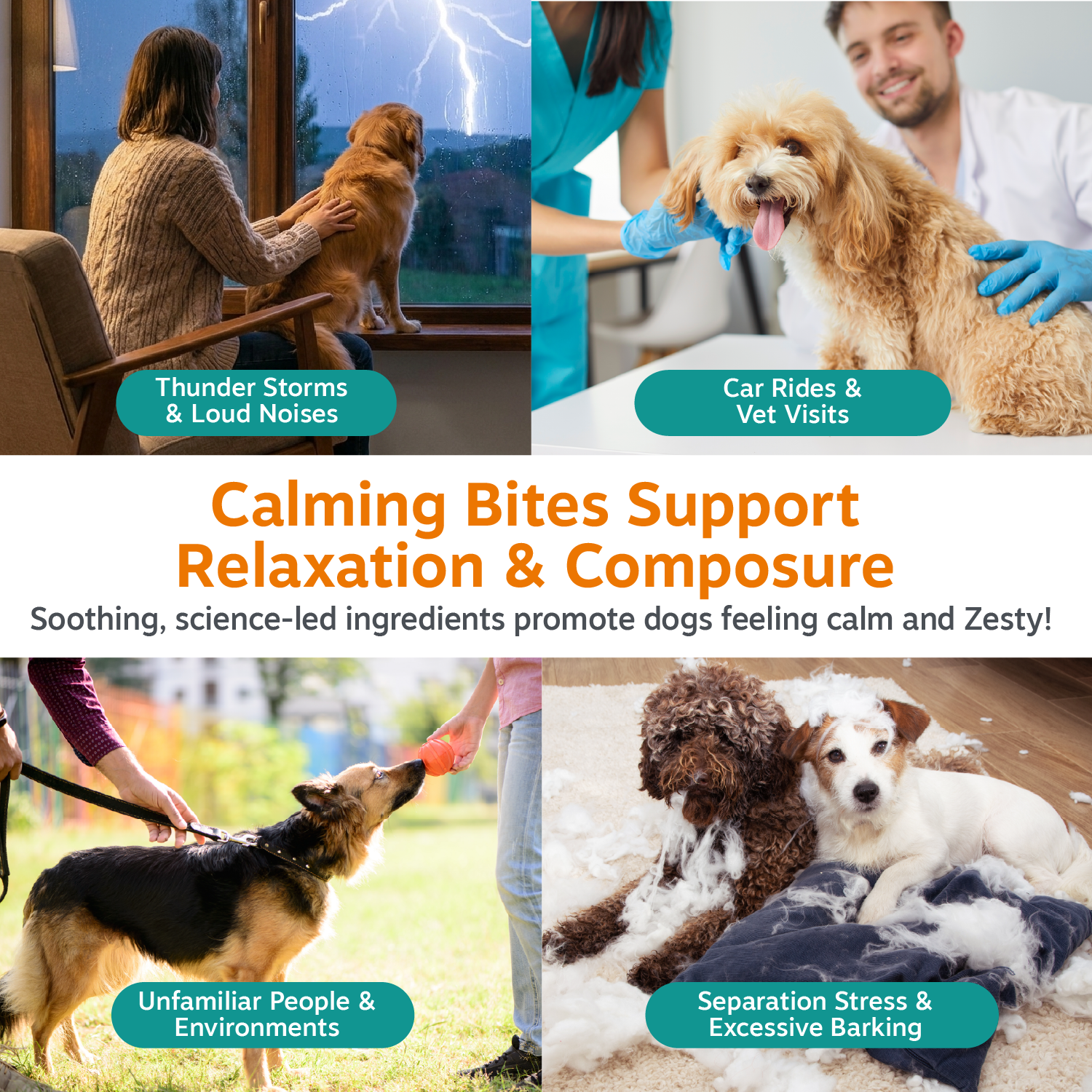 Dog treat bites shown with four usage scenarios: thunderstorms, vet visits, unfamiliar environments, and separation stress.