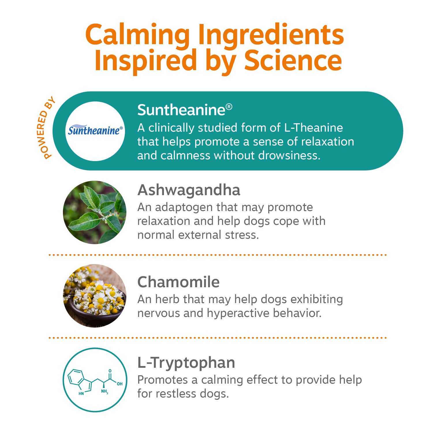 Infographic listing calming ingredients for dog treats: Suntheanine, Ashwagandha, Chamomile, and L-Tryptophan with descriptio