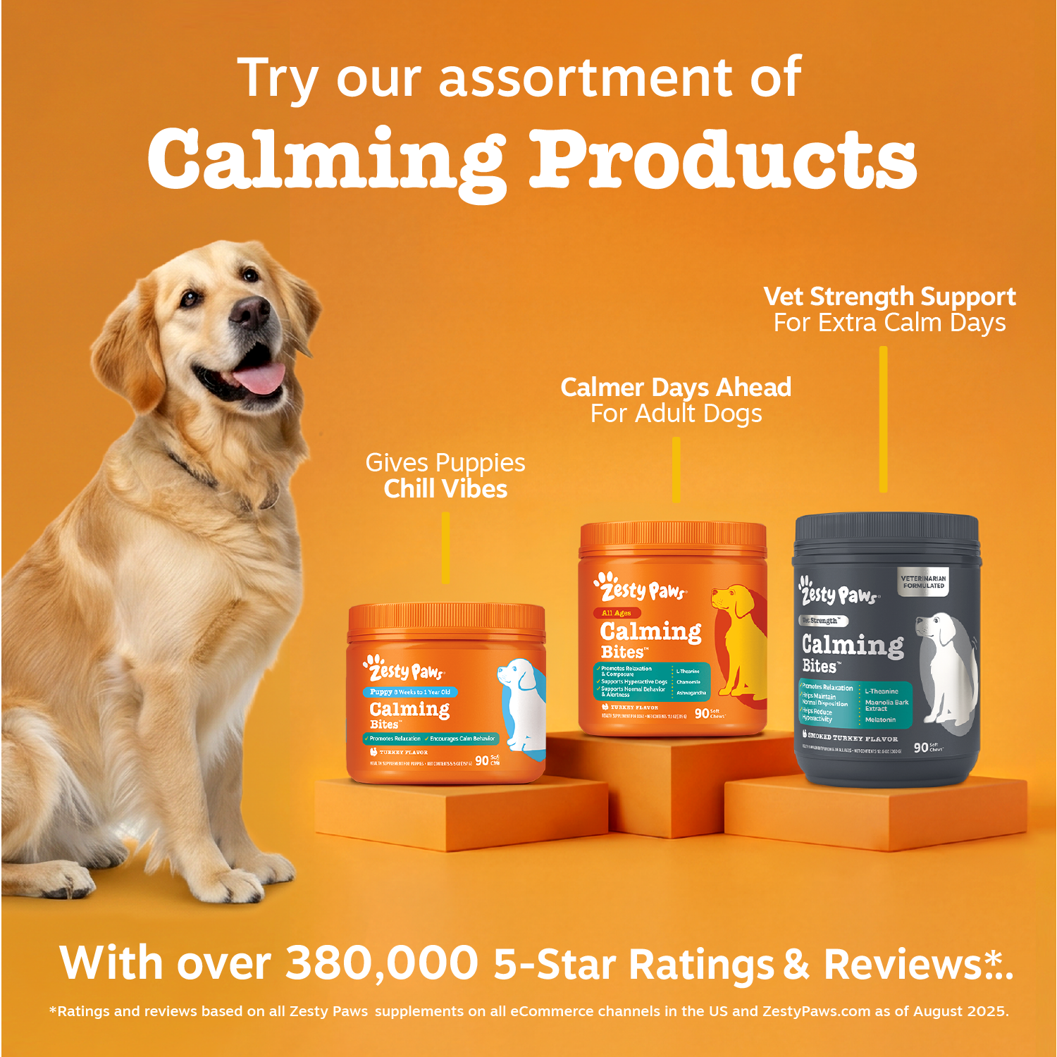 Golden Labrador Retriever sitting next to three orange and black dog supplement jars on orange pedestals against orange backg