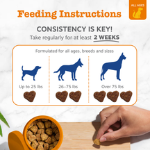 Feeding instructions chart for dog multivitamin treats showing dosage by size with silhouettes and heart-shaped bite examples