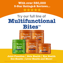 Five bottles of Zesty Paws dog supplement bites in green and orange containers with white labels on orange and yellow backgro