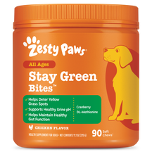 Orange jar of Zesty Paws Stay Green Bites dog supplement with yellow dog illustration and green label listing benefits.