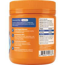 Orange plastic jar of senior dog hip and joint supplement chews with orange cap and blue label listing ingredients.
