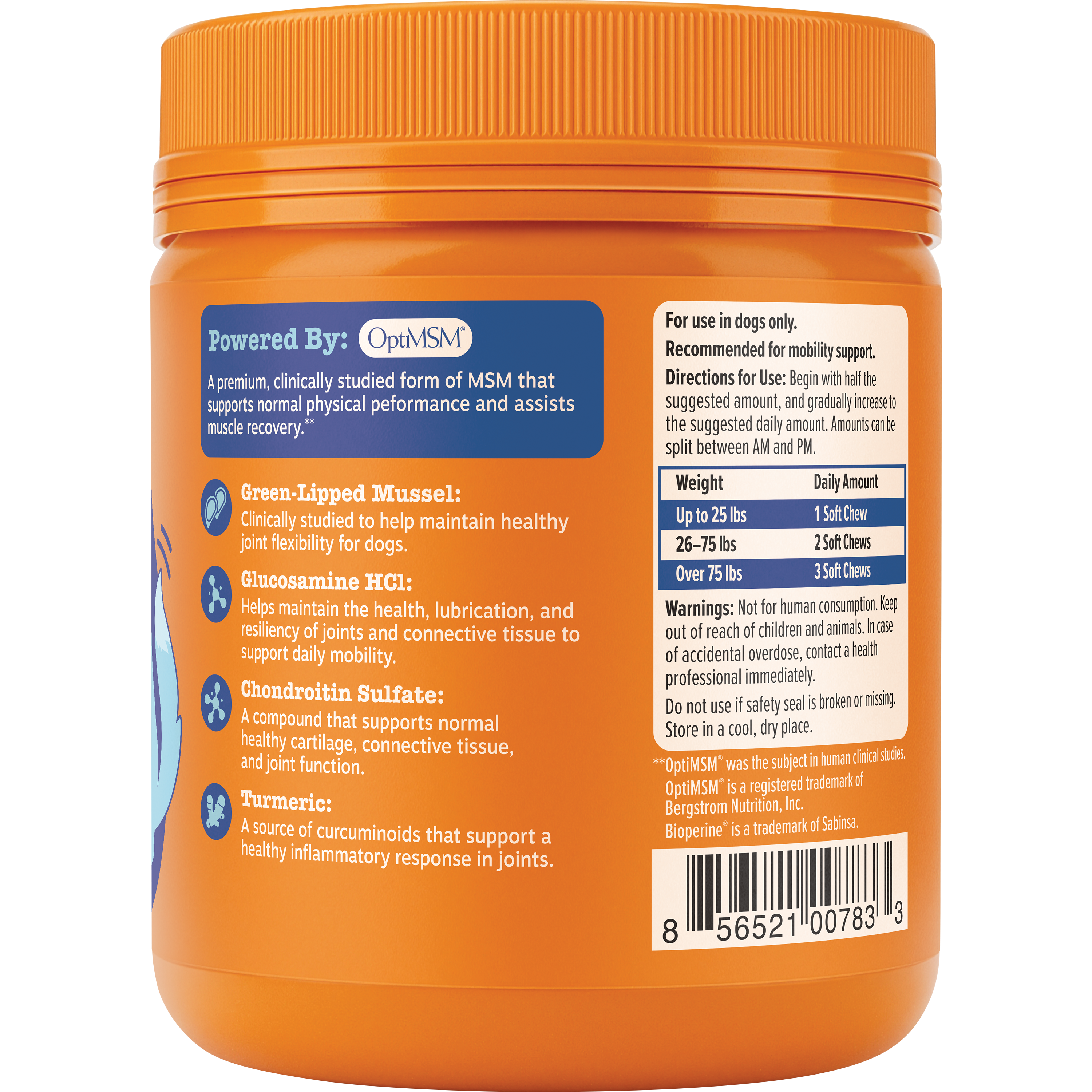 Orange plastic jar of senior dog hip and joint supplement chews with orange cap and blue label listing ingredients.