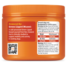 Orange jar with ridged cap containing soft chews, labeled with green-lipped mussel information and dosage guidelines for dogs
