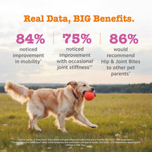 Golden retriever holding red ball in open field with text displaying product statistics.