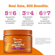 Orange jar of Zesty Paws Mussel Hip & Joint Bites with purple band and chicken flavor label, containing 90 soft chews.