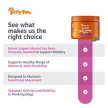 Orange jar of Zesty Paws Mussel Hip & Joint Bites for dogs with brown treat pieces displayed below.