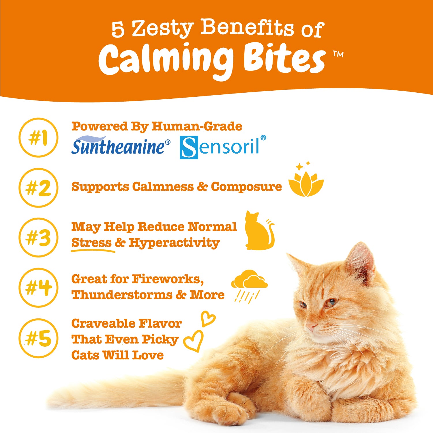Fe'line Good 4-Pack for Cats Bundle