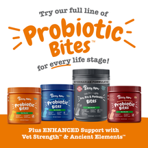 Four containers of Zesty Paw Probiotic Bites in orange, blue, black, and burgundy jars with white labels.